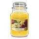 Yankee Candle Classic Large Jar Tropical Starfruit 623g