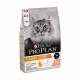 Purina Pro Plan Cat  Adult Derma Care Salmon (3 kg)